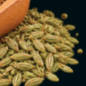 Fennel
