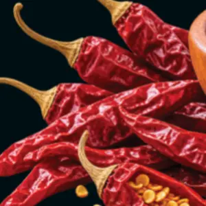 Red Chilli