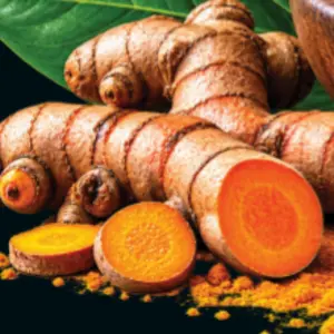 Turmeric